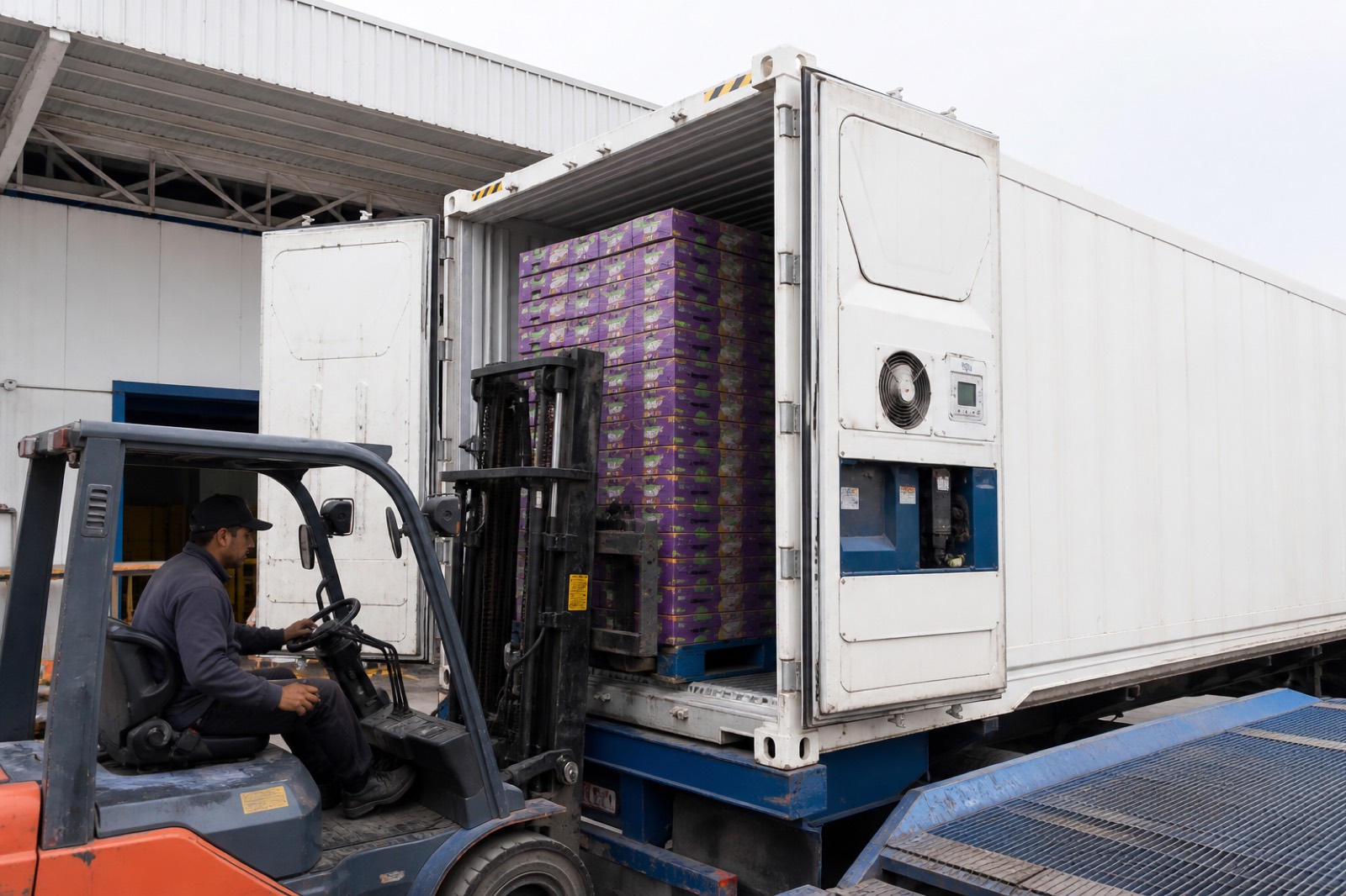 Reefer container being loaded at a Latin American packhouse